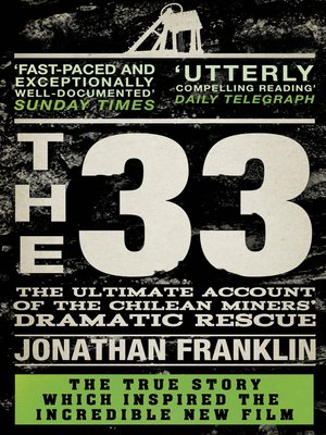 cover image of The 33